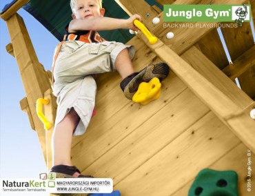 Jungle Gym Fort